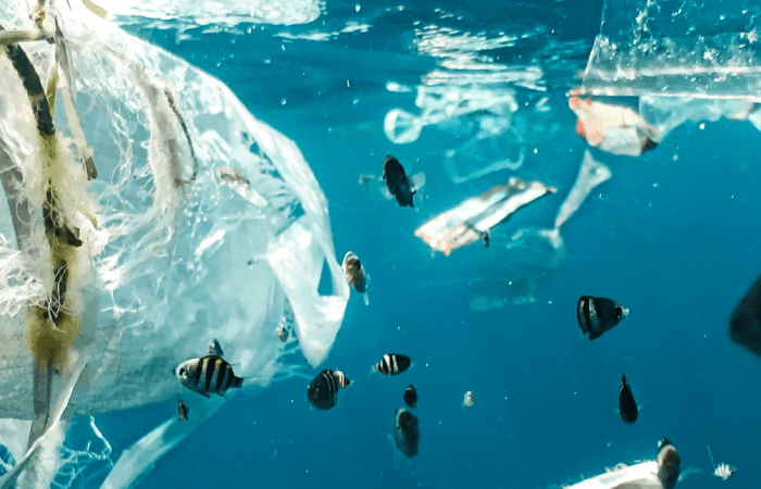 Underwater scene showing tropical fish swimming among plastic pollution and debris in clear blue water.